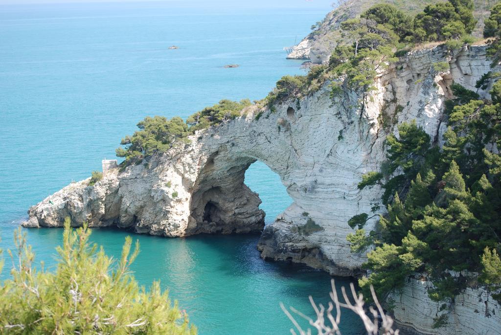 Appartamenti Euro'92 Vieste Buitenkant foto